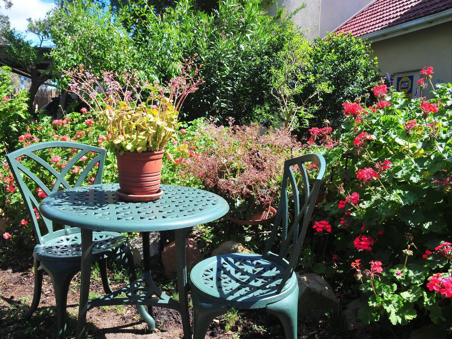 Bradclin House, Plant, Nature, Garden