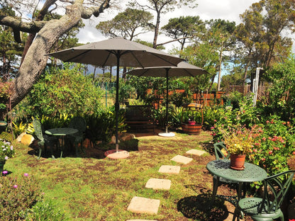 Bradclin House, Plant, Nature, Garden