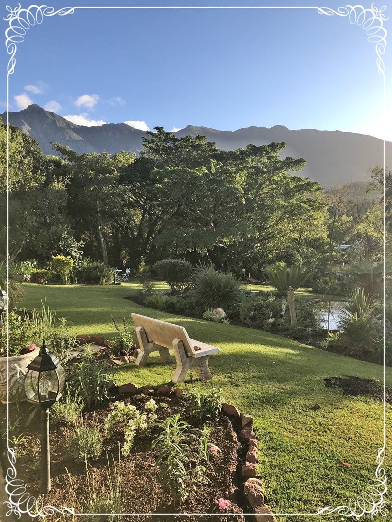 Braeside Swellendam Western Cape South Africa Complementary Colors, Garden, Nature, Plant