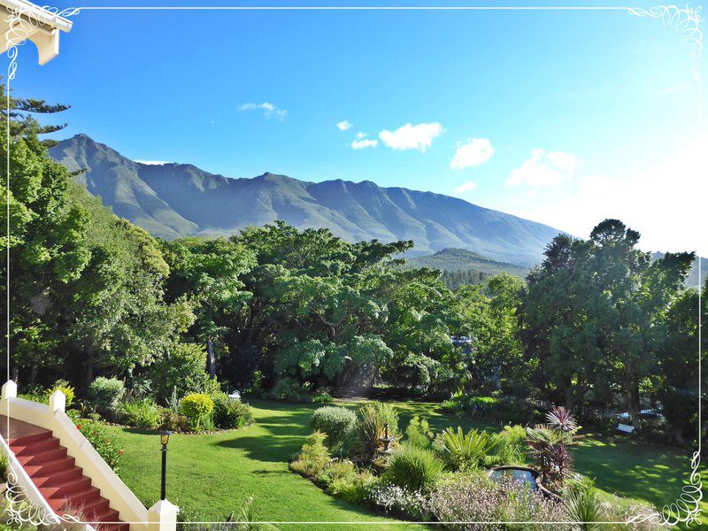 Braeside Swellendam Western Cape South Africa Complementary Colors, Garden, Nature, Plant