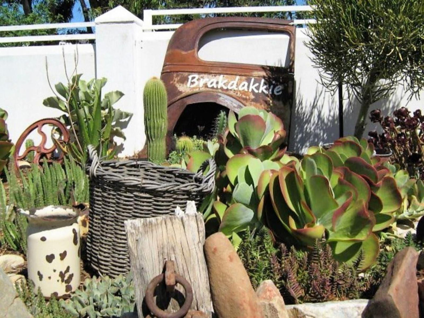 Brakdakkie Guest Cottages Prince Albert Western Cape South Africa Plant, Nature, Garden