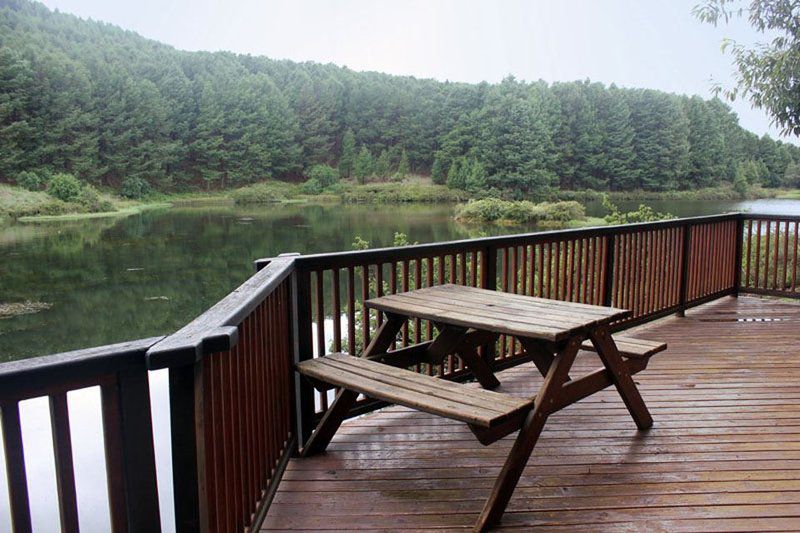 Brambleberry Lakeside Cabin Nottingham Road Kwazulu Natal South Africa Lake, Nature, Waters, Tree, Plant, Wood