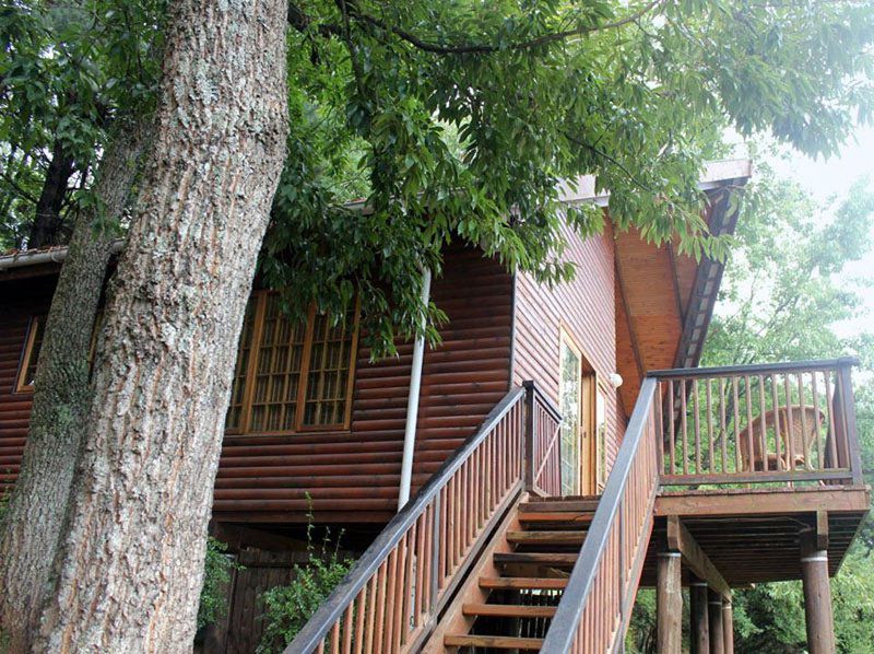 Brambleberry Lakeside Cabin Nottingham Road Kwazulu Natal South Africa Cabin, Building, Architecture, Tree, Plant, Nature, Wood