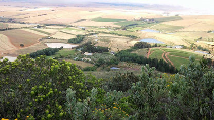 Brambleberry Farm Riebeek West Western Cape South Africa Field, Nature, Agriculture, Aerial Photography