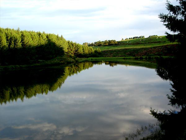 Brambleberry Lodge Nottingham Road Kwazulu Natal South Africa River, Nature, Waters, Tree, Plant, Wood