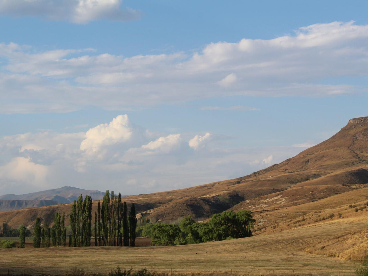 Branksome Country House Eastern Cape Highlands Eastern Cape South Africa Complementary Colors, Nature