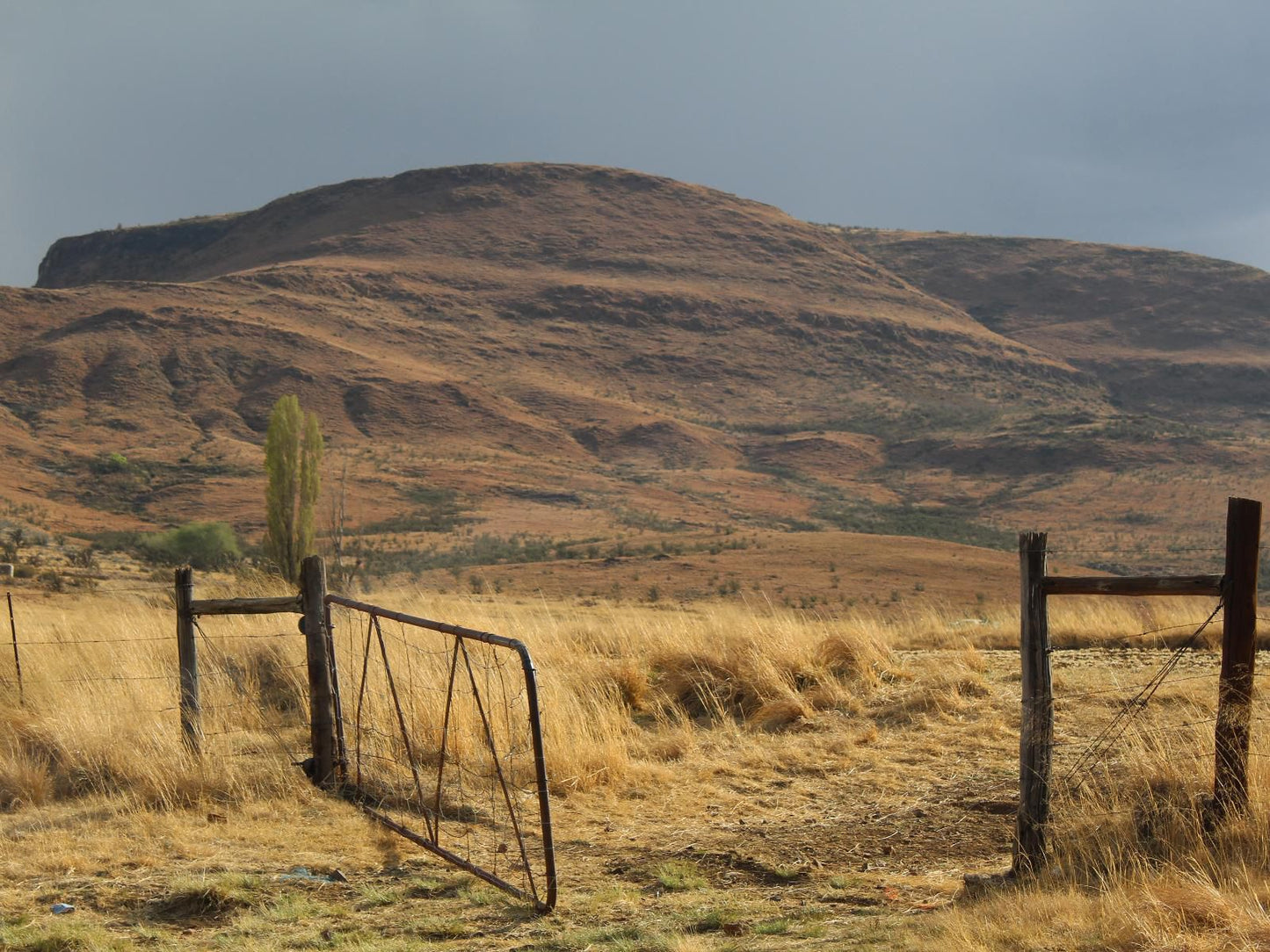 Branksome Country House Eastern Cape Highlands Eastern Cape South Africa 