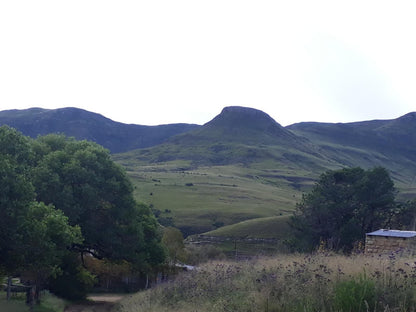 Branksome Country House Eastern Cape Highlands Eastern Cape South Africa Mountain, Nature, Highland