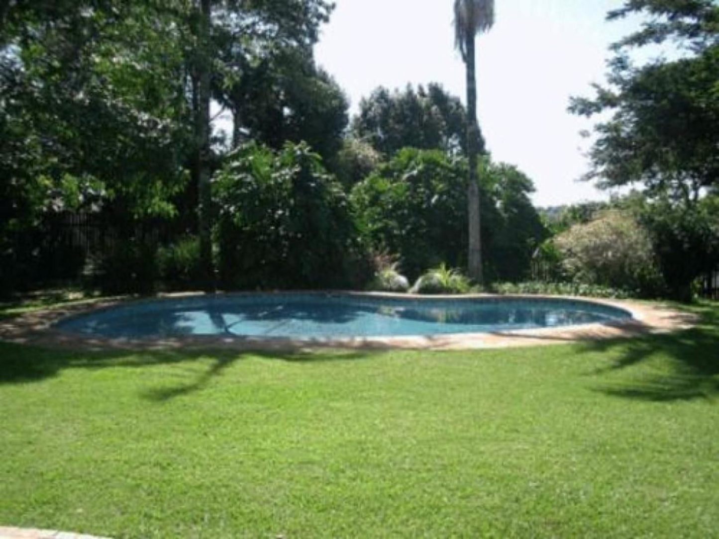Branley Lodge Hillcrest Durban Kwazulu Natal South Africa Palm Tree, Plant, Nature, Wood, Garden, Swimming Pool