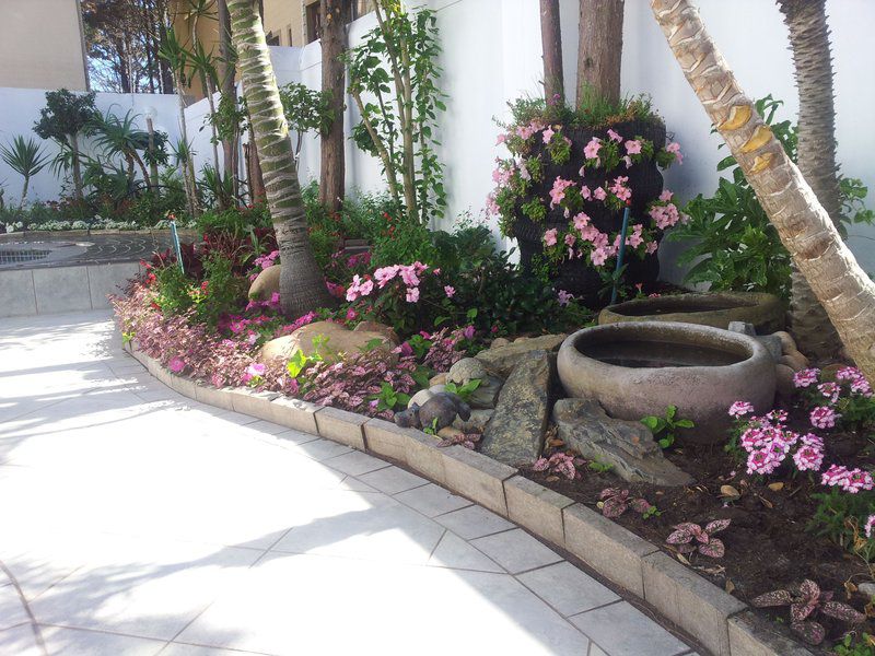 Bread And Barrel Palazzo Blouberg West Beach Blouberg Western Cape South Africa Palm Tree, Plant, Nature, Wood, Garden