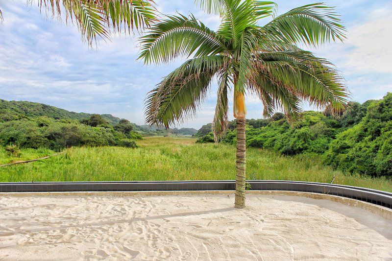 Breakers 217 Umhlanga Rocks Umhlanga Kwazulu Natal South Africa Complementary Colors, Beach, Nature, Sand, Palm Tree, Plant, Wood