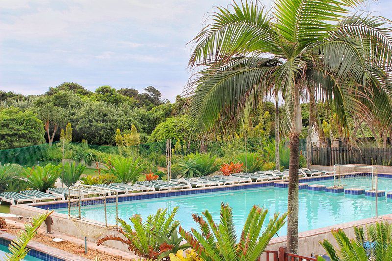 Breakers 217 Umhlanga Rocks Umhlanga Kwazulu Natal South Africa Complementary Colors, Palm Tree, Plant, Nature, Wood, Garden, Swimming Pool