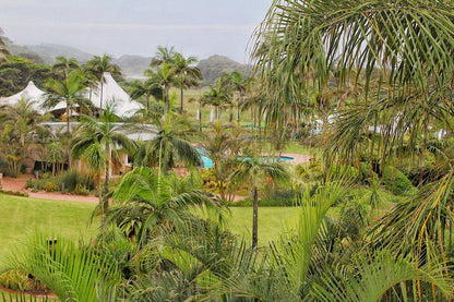 Breakers 330 Umhlanga Durban Kwazulu Natal South Africa Palm Tree, Plant, Nature, Wood