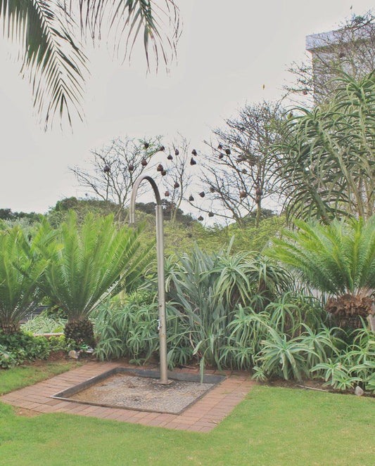 Breakers 419 Umhlanga Rocks Umhlanga Kwazulu Natal South Africa Palm Tree, Plant, Nature, Wood, Garden