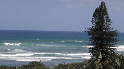 Breakerview Bay Trafalgar Kwazulu Natal South Africa Beach, Nature, Sand, Palm Tree, Plant, Wood, Wave, Waters, Ocean