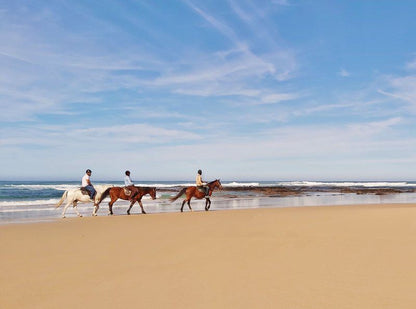 Breaking Waves Kini Bay Port Elizabeth Eastern Cape South Africa Complementary Colors, Horse, Mammal, Animal, Herbivore, Beach, Nature, Sand, Ocean, Waters