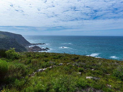 Breakwaters Haven Pezula Golf Estate Pezula Golf Estate Knysna Western Cape South Africa Complementary Colors, Beach, Nature, Sand, Cliff