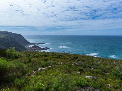 The Beachhouse Executive Home @ Breakwaters Haven - Pezula Golf Estate