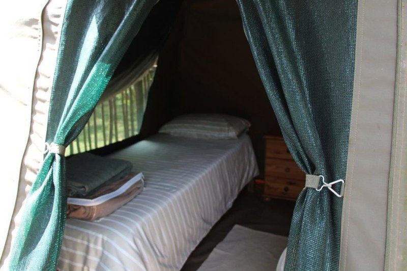 Breede Bush Camp Buffeljagsrivier Western Cape South Africa Bedroom