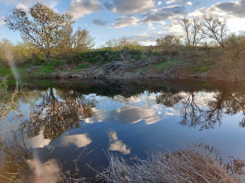 Breede Bush Camp Buffeljagsrivier Western Cape South Africa River, Nature, Waters, Tree, Plant, Wood