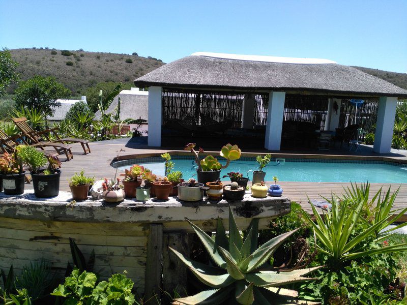 Breede River Queen Self Catering Malgas Western Cape South Africa House, Building, Architecture, Swimming Pool