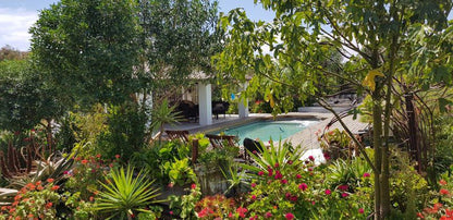 Breede River Queen Self Catering Malgas Western Cape South Africa House, Building, Architecture, Palm Tree, Plant, Nature, Wood, Garden, Swimming Pool