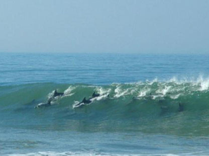 Breeze Inn B And B Kidd S Beach Eastern Cape South Africa Beach, Nature, Sand, Wave, Waters, Ocean