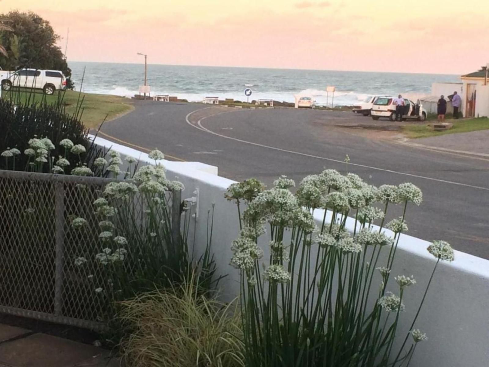 Breeze Inn B And B Kidd S Beach Eastern Cape South Africa Beach, Nature, Sand, Palm Tree, Plant, Wood