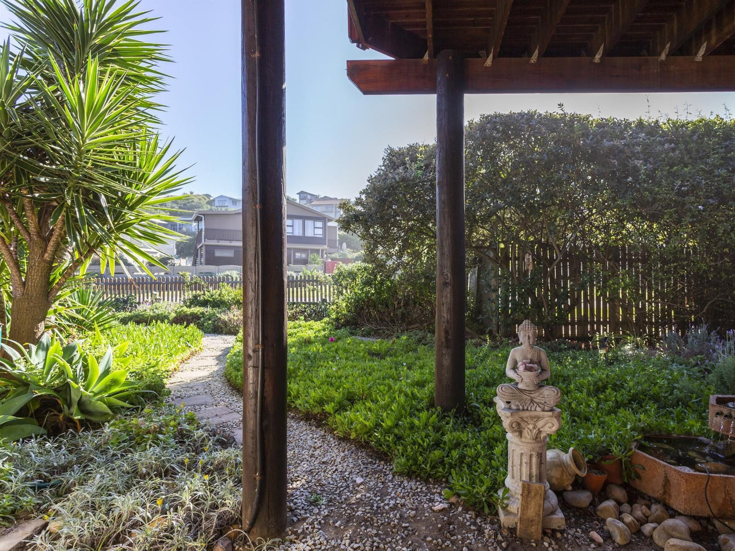 Brenton Bushbuck Lookout, Palm Tree, Plant, Nature, Wood, Garden