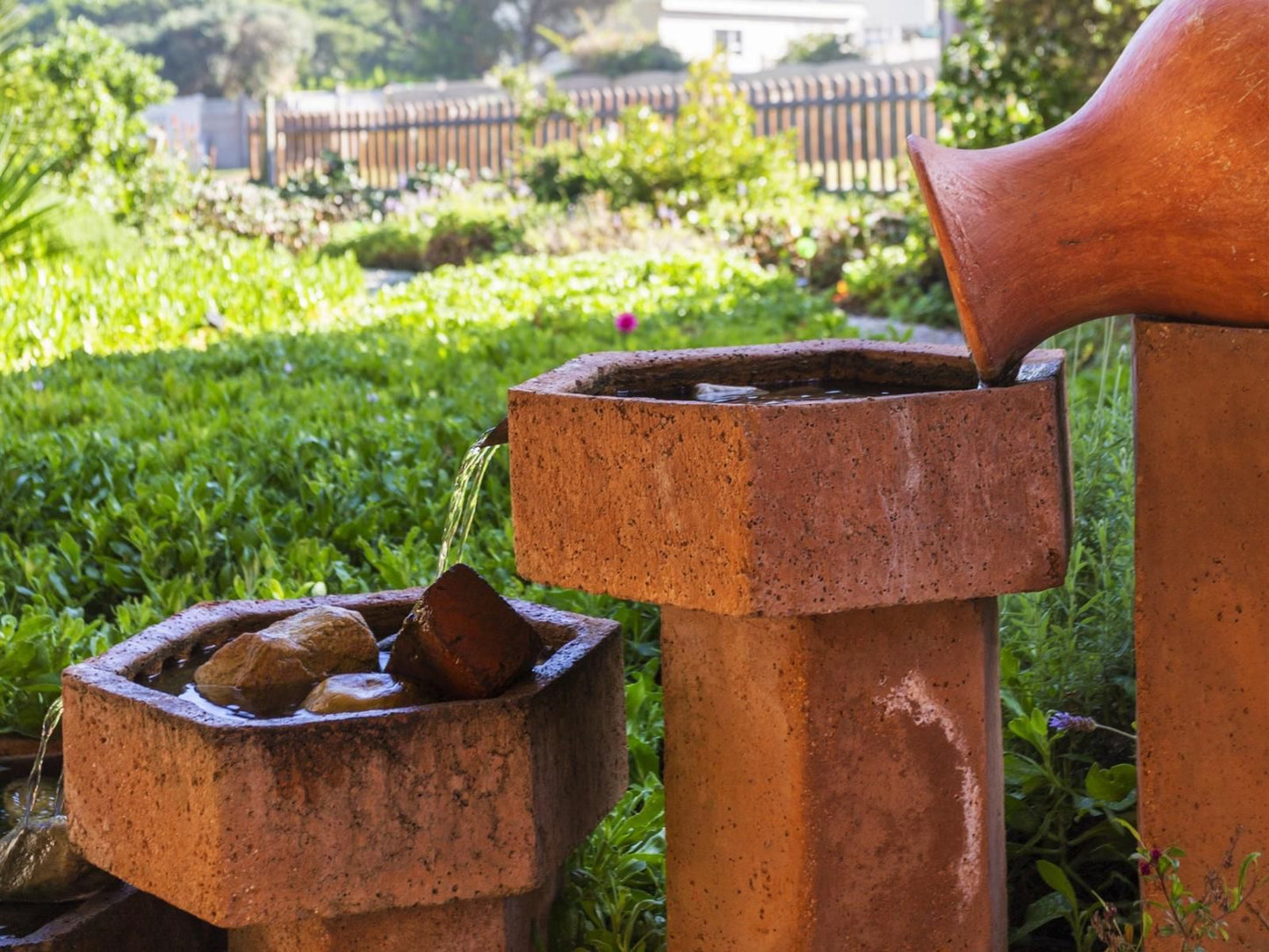 Brenton Bushbuck Lookout, Plant, Nature, Garden