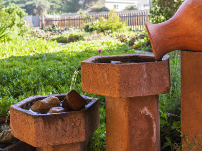 Brenton Bushbuck Lookout, Plant, Nature, Garden