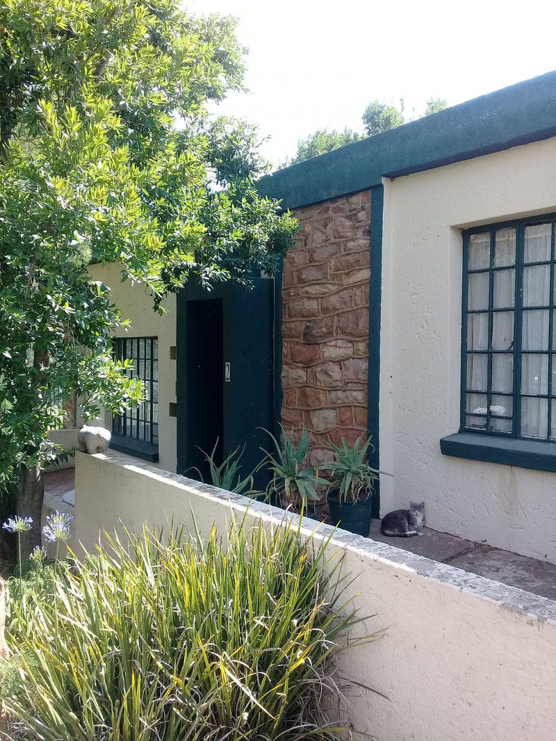 Brentwood Lodge Deneysville Gauteng South Africa Cat, Mammal, Animal, Pet, Door, Architecture, House, Building, Garden, Nature, Plant