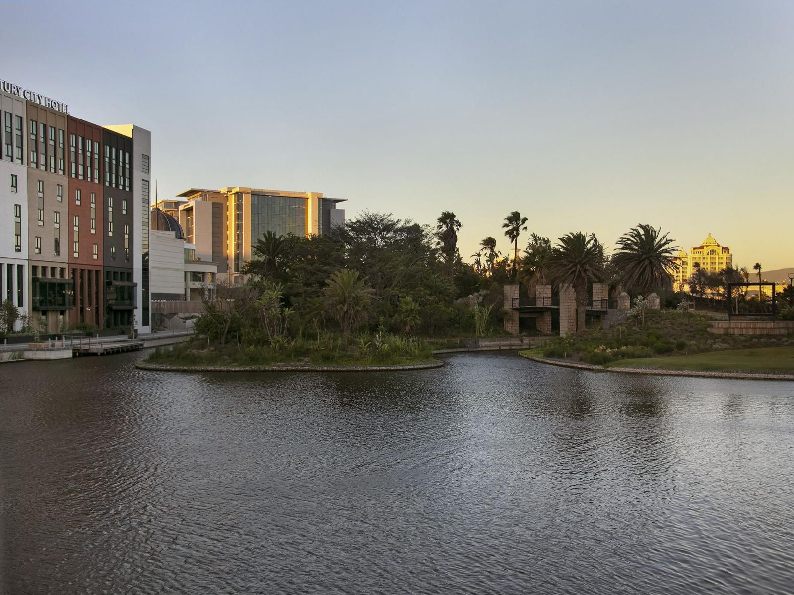 Bridgewater One 605 By Hostagents Century City Cape Town Western Cape South Africa Palm Tree, Plant, Nature, Wood, River, Waters, Skyscraper, Building, Architecture, City