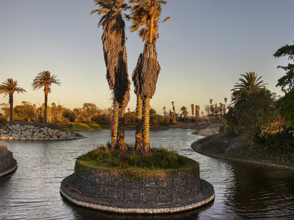 Bridgewater One 605 By Hostagents Century City Cape Town Western Cape South Africa Palm Tree, Plant, Nature, Wood, River, Waters