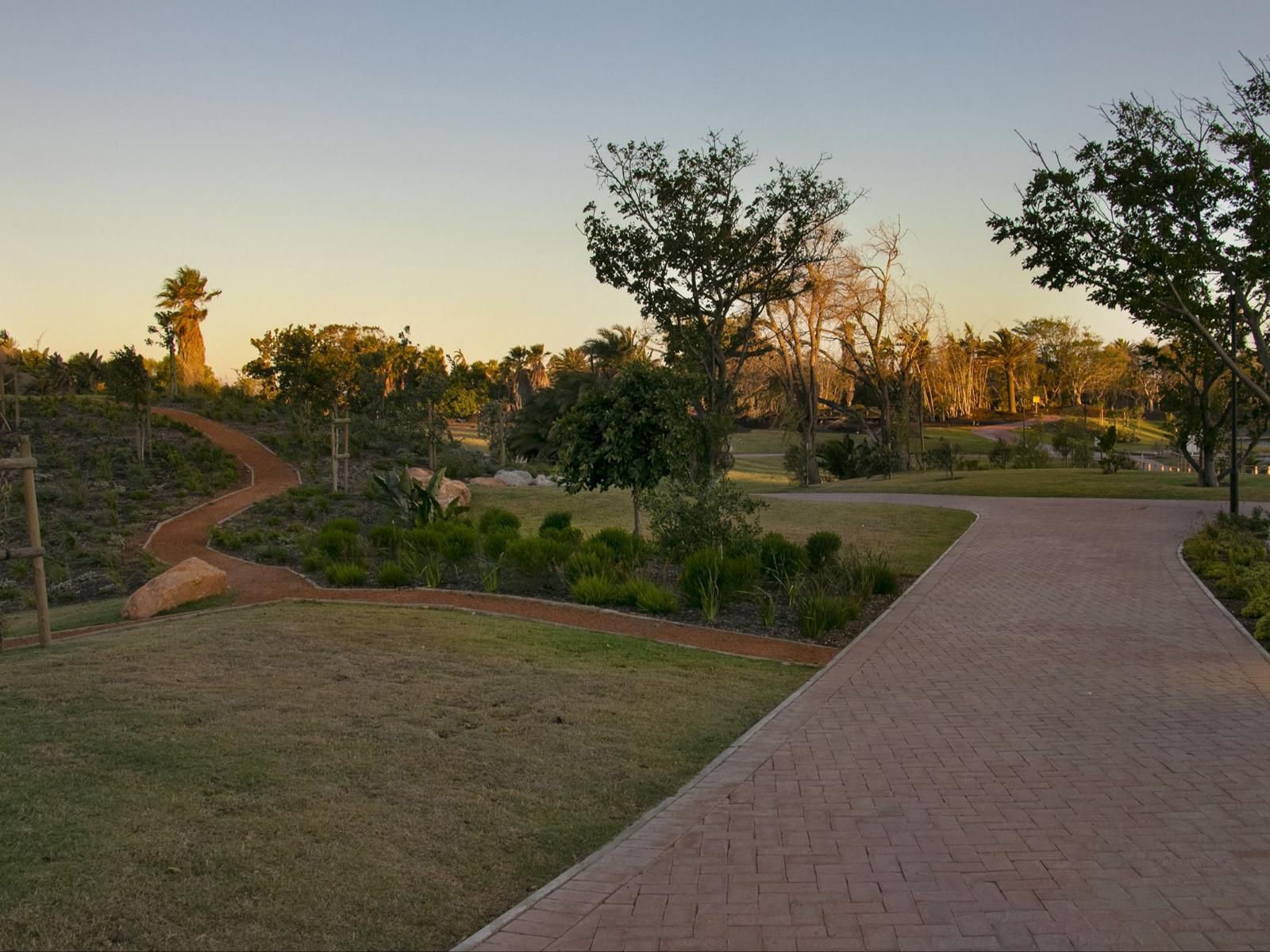 Bridgewater One 605 By Hostagents Century City Cape Town Western Cape South Africa Palm Tree, Plant, Nature, Wood, Garden, Skateboarding, Funsport, Sport