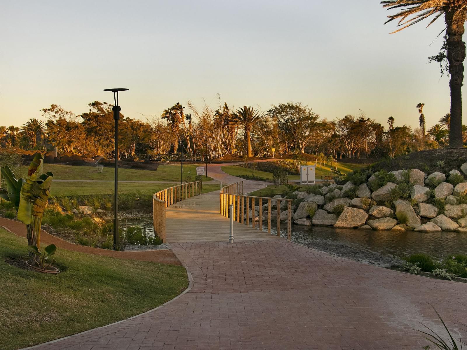 Bridgewater One 605 By Hostagents Century City Cape Town Western Cape South Africa Palm Tree, Plant, Nature, Wood, Golfing, Ball Game, Sport