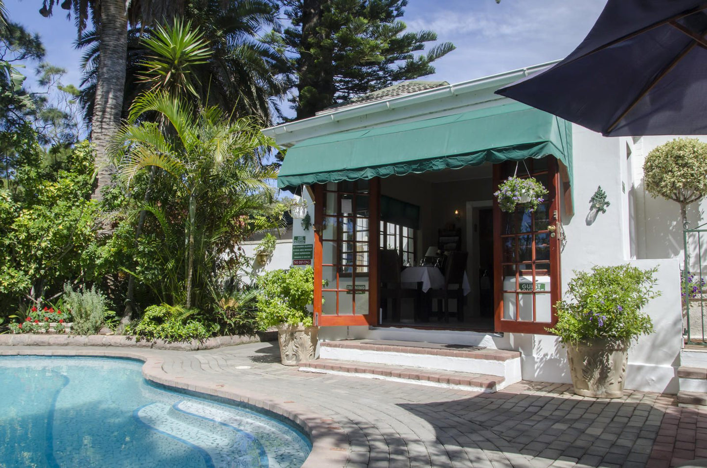Brighton Lodge Summerstrand Port Elizabeth Eastern Cape South Africa Palm Tree, Plant, Nature, Wood, Swimming Pool
