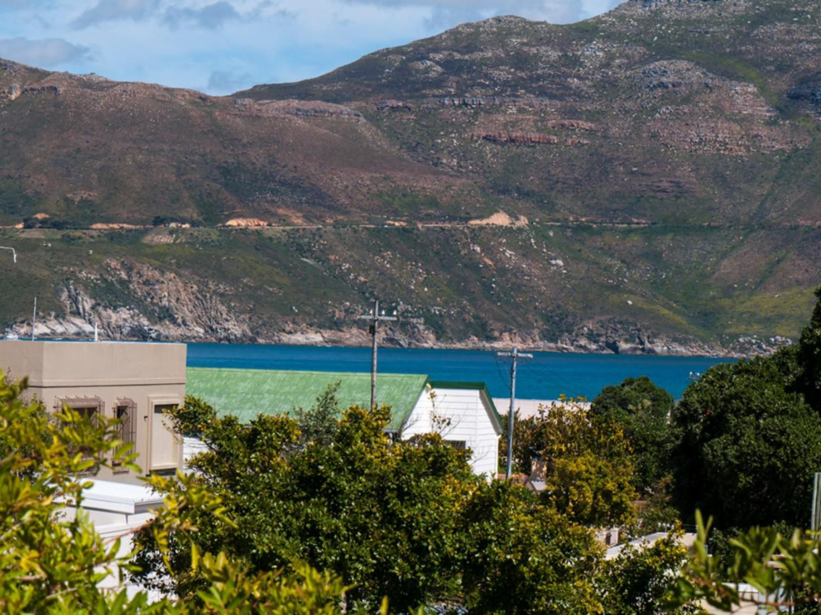 Brightwater Lodge Hout Bay Cape Town Western Cape South Africa Mountain, Nature, Palm Tree, Plant, Wood, Highland