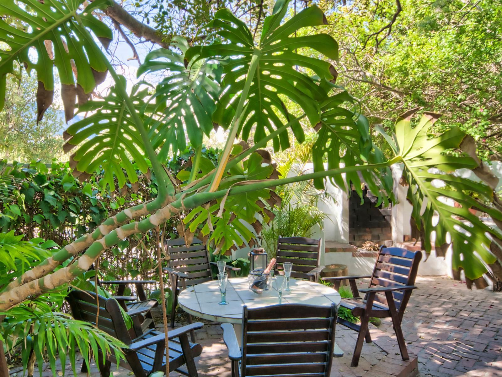 Brightwater Lodge Hout Bay Cape Town Western Cape South Africa Bar, Garden, Nature, Plant