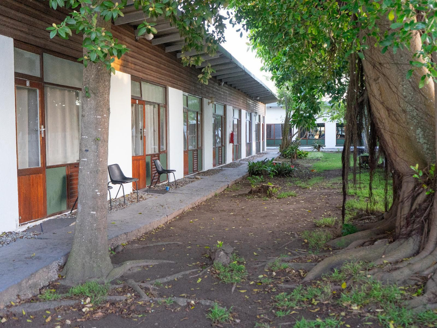 Brinkleys River Village, House, Building, Architecture, Tree, Plant, Nature, Wood