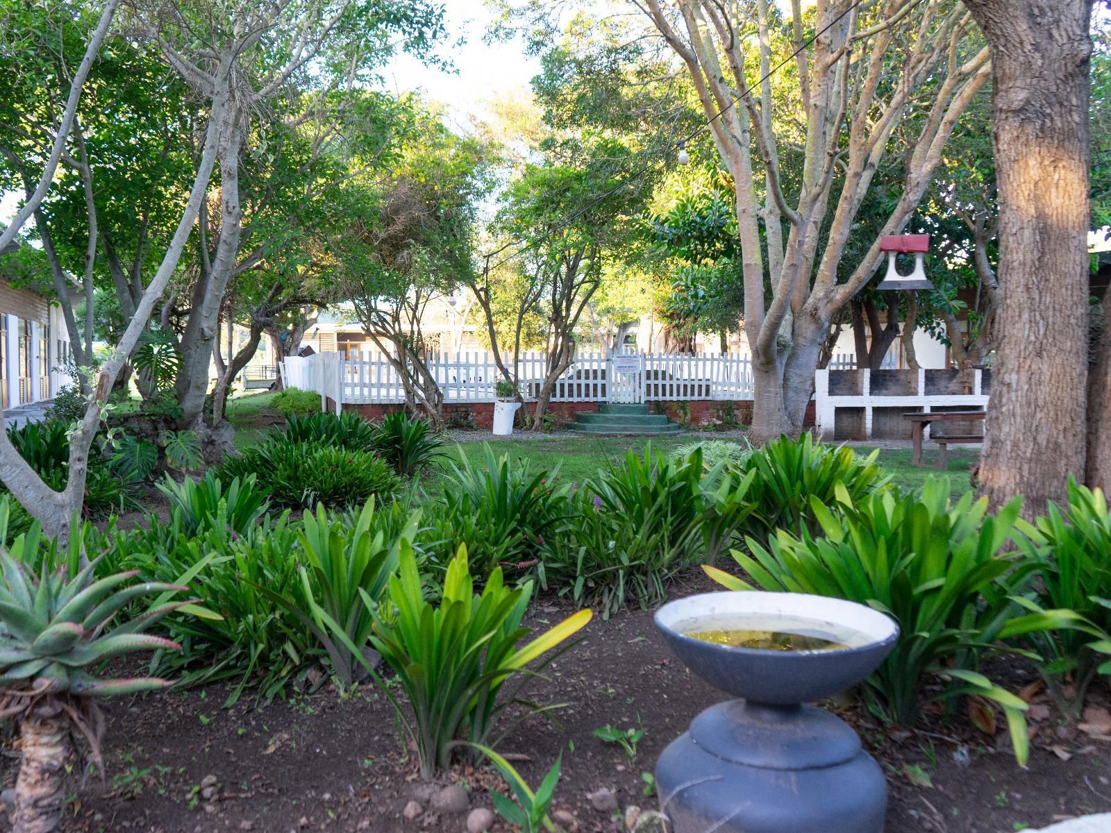 Brinkleys River Village, Palm Tree, Plant, Nature, Wood, Garden