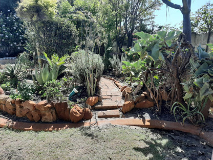 Briza Guest House Table View Blouberg Western Cape South Africa Palm Tree, Plant, Nature, Wood, Reptile, Animal, Garden