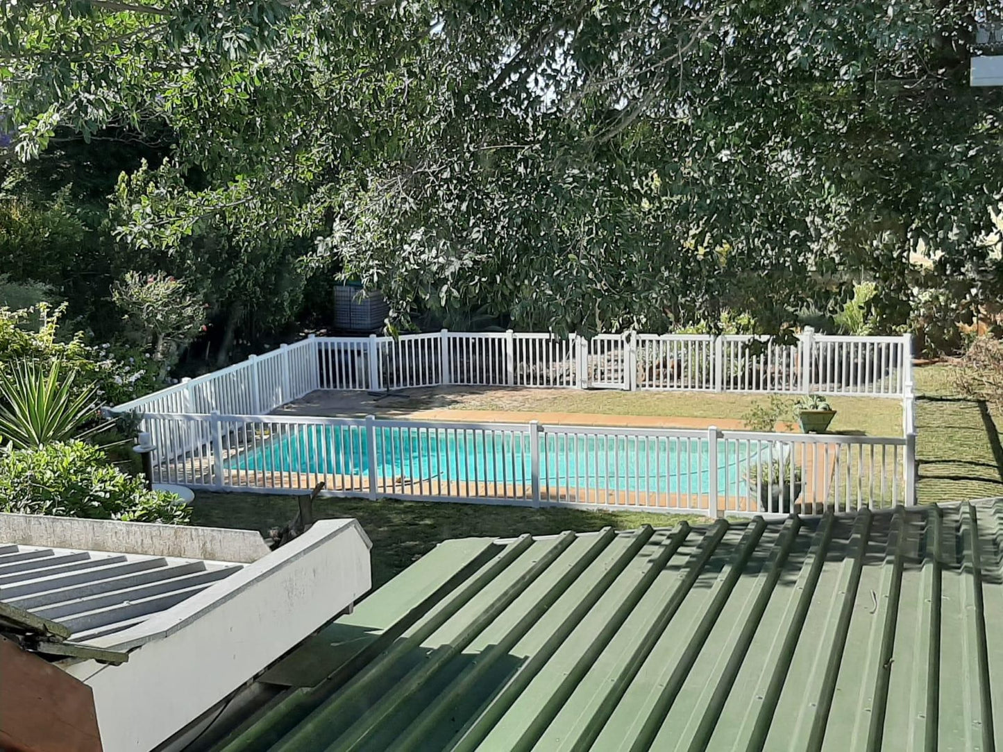 Briza Guest House Table View Blouberg Western Cape South Africa Garden, Nature, Plant, Swimming Pool