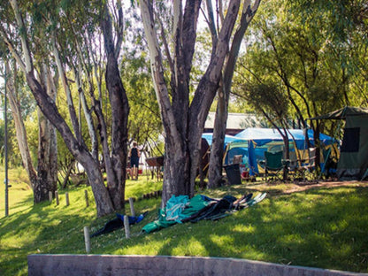 Caravan & Camping Site @ Broadwater River Beach