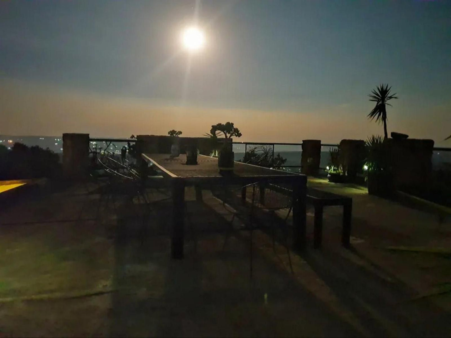 Bronberg Bastion, Beach, Nature, Sand, Palm Tree, Plant, Wood, Sunset, Sky