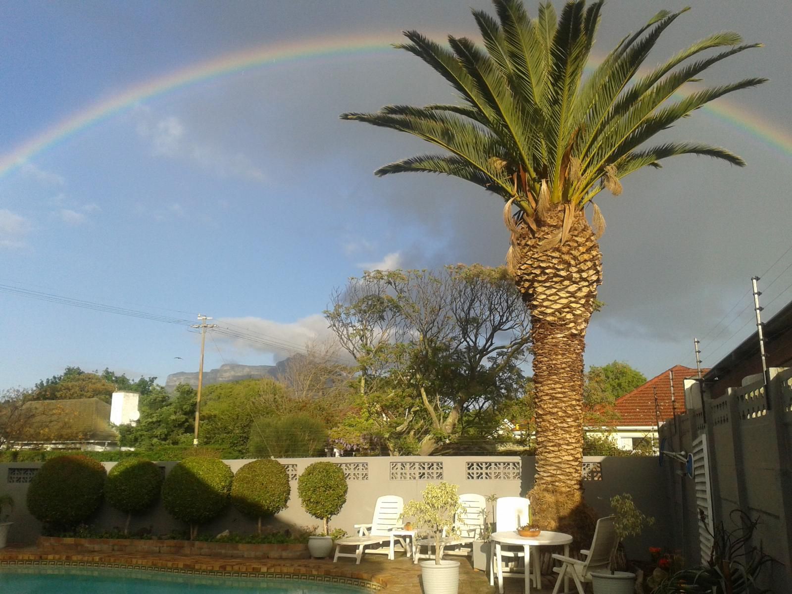 Brookdale House Pinelands Cape Town Western Cape South Africa Complementary Colors, Palm Tree, Plant, Nature, Wood, Rainbow