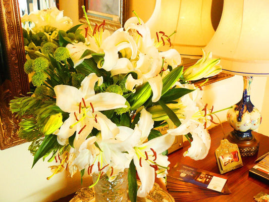 Brooklyn Place Guesthouse, Colorful, Bouquet of Flowers, Flower, Plant, Nature