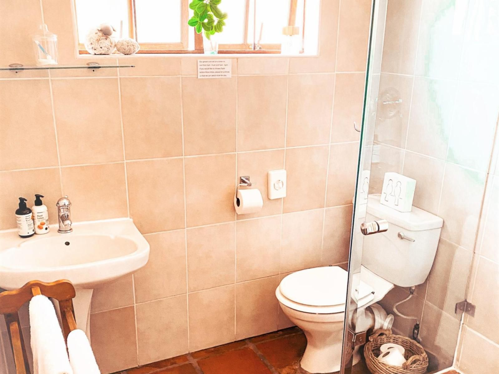 Brooks Cottage Brooklyn Pretoria Tshwane Gauteng South Africa Bright, Bathroom