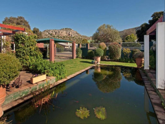 Brown Jug Eastcliff Hermanus Western Cape South Africa Complementary Colors, House, Building, Architecture, Garden, Nature, Plant, Swimming Pool