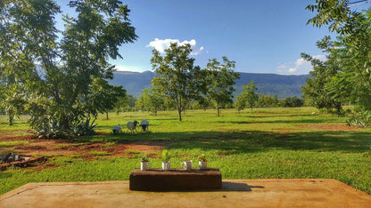 Browns Cabin And Cottages Hartbeespoort North West Province South Africa Complementary Colors, Field, Nature, Agriculture, Tree, Plant, Wood